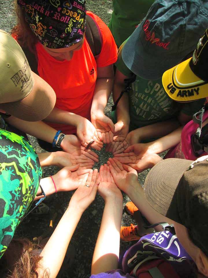 Scout and School Group Tour