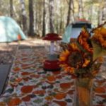 Fall flower arrangement on a camp picnic table.