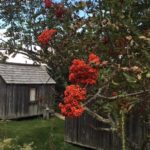 Guided full day hikes to Mt Leconte cabins