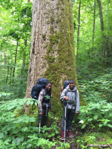 Two young men in front of a giant tulip poplar while on a guided backpacking trip in the Smoky Mountains.
