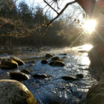 Plan your Trip. See this morning stream sunrise.