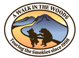 A Walk in the Woods logo