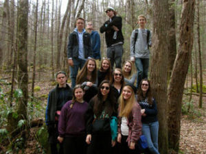 Group Tour, Driving Tour, Step on Tour