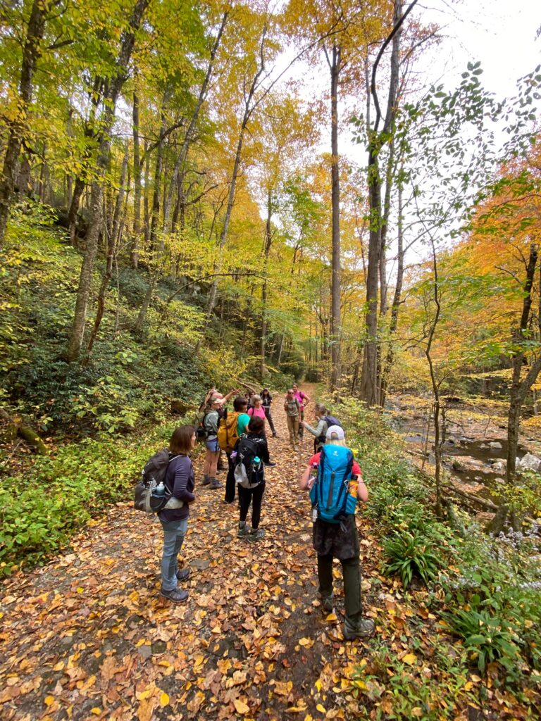Group on the trail with guides in the Fall
