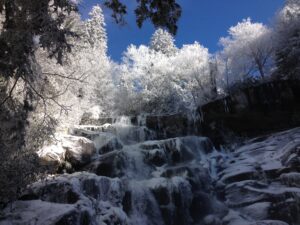 A Walk in the Woods is always prepared for crazy mountain weather! Old Growth Forest Tour