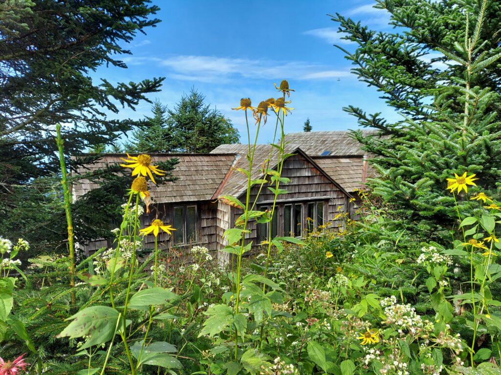 LeConte Lodge Dining Hall with late summer flowers