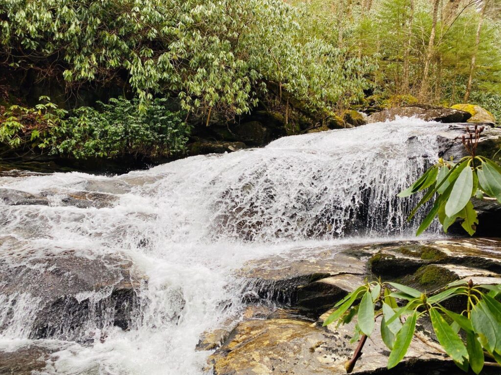 Cascade on our Thundering Cascades and Falls tour.