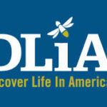 Discover Life in America Logo
