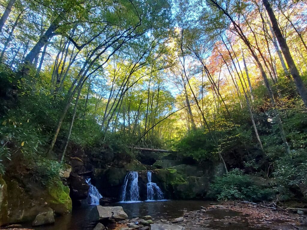 Smokies waterfall surrounded by Fall color