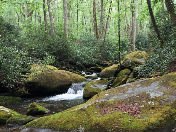 Rainy hike: May in the Smoky Mountains
