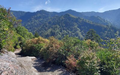 Mountain view from Alum Cave Bluffs Trail