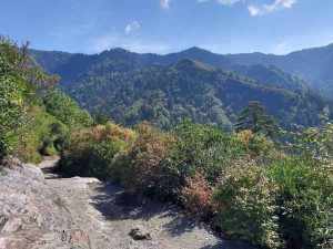 Mountain view from Alum Cave Bluffs Trail