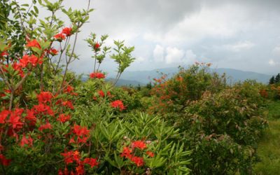 Moody views on this scenic hike in the high elevations.