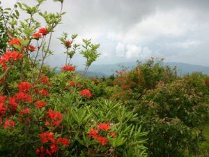 Moody views on this scenic hike in the high elevations.
