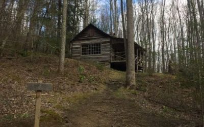 Old log cabin in the woods.