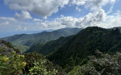 Mountain views. A sea of green and blue.