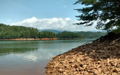 Lake Bank on a beautiful day