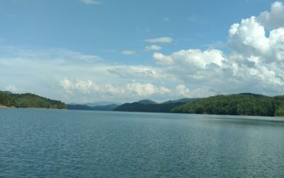 Mountain view from the lake.