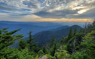 Evening Mountain View