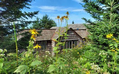 LeConte Lodge Dining Hall with late summer flowers