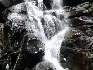 True cascades on our adventure!