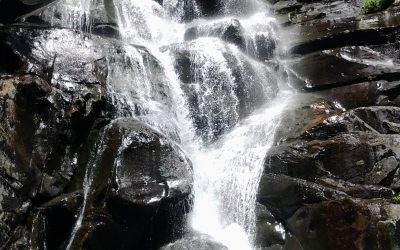 True cascades on our adventure!