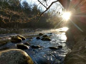 Plan your Trip. See this morning stream sunrise.