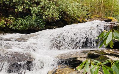 Thundering Cascades and Falls - A Walk in the Woods